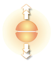 bipartite cartridge heater